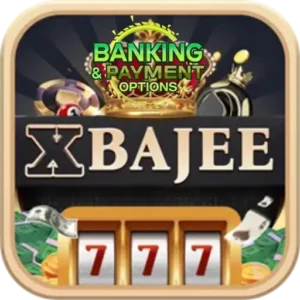 XBajee App Banking & Payment Options