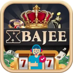 XBajee Agent Program